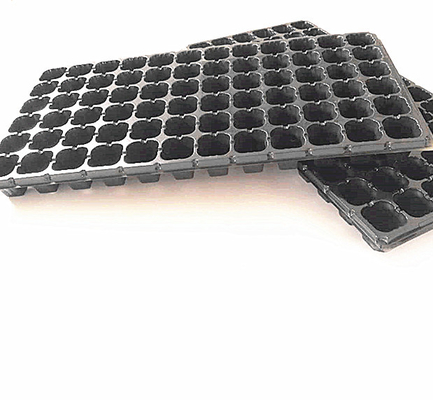 flower and tree seedlings growing plastic containers for outdoor planter