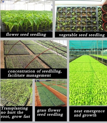 Seedlings plants grow plug tray plant containers for nurseries 200 cells