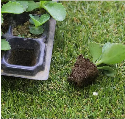 Germination tray for greenhouse vegetables nursery and growing &amp; Nursery plant 32  cells tray