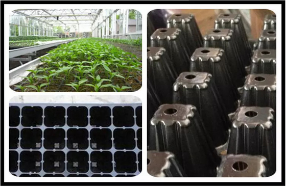 Germination tray for greenhouse vegetables nursery and growing &amp; Nursery plant 32  cells tray