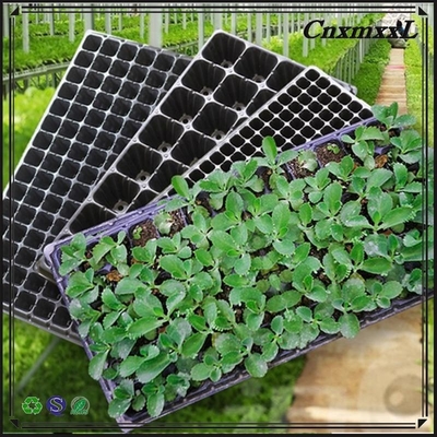 good price and hot sells  flower container  --seedling tray