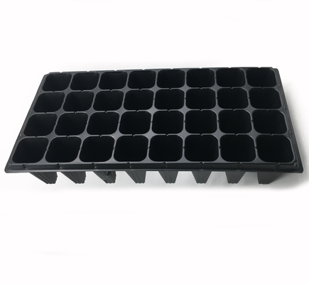 50 holes high quality forest seedling tray big cell size