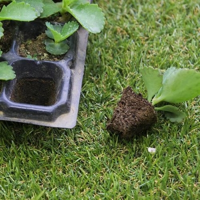 Durable whole sales  plastic seedling tray (32cells /50/72/105/128/200 cells)