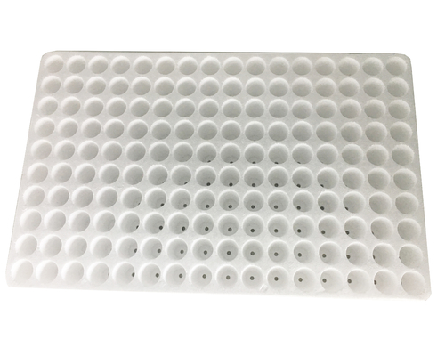 160 cells EPS styrofoam seedling tray