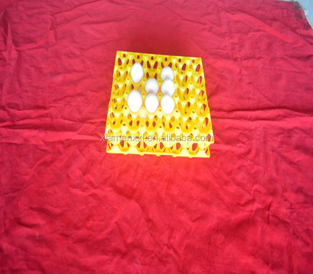 eggs colorful yellow plastic blister thermoforming vacuum plates