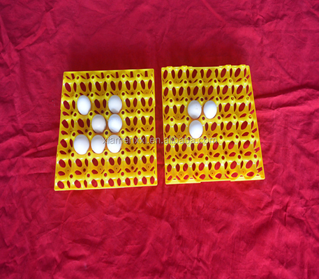 eggs colorful yellow plastic blister thermoforming vacuum plates