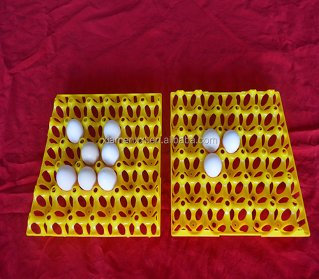 eggs colorful yellow plastic blister thermoforming vacuum plates
