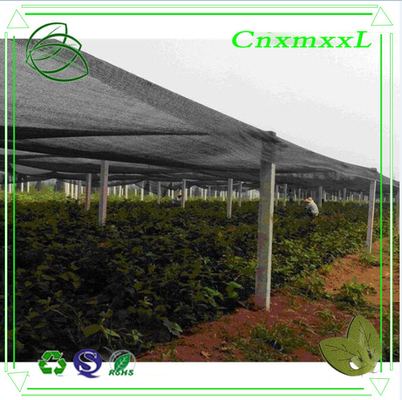 80% shading rate farm sun shade net for plant in low price