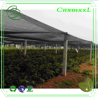 high quality PP woven sun shade net house farming in low price