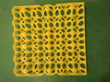 Kolorowe żółte plastikowe pęcherze termoformowane płytki próżniowe opakowanie jaj transport 30 opakowania jaj
