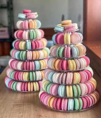 12 sztuk PET plastikowe pojemniki makaronowe