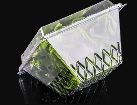Customized Design Recyclable PET Plastic Blister Packaging with Heat Sealing for Fresh Produce