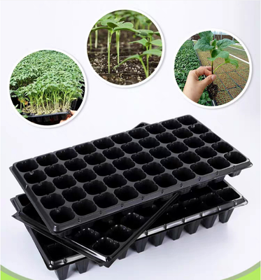 farm seedling tray,cell plug tray,multi‑cell seed tray,square cell seed tray,72 cell tray,