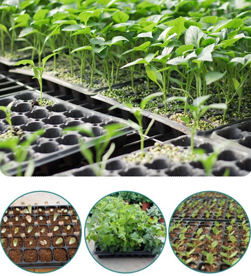 greenhouse tray,seed plug tray,nursery plug tray,hydroponic seed tray,vegetable seed tray