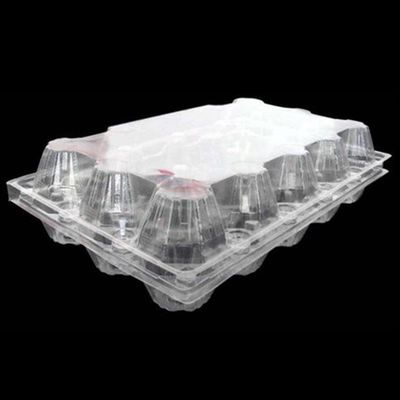 15 paczek Jednorazowa plastikowa tacka na jajka PET 71mm kwadratowa tacka na jajka