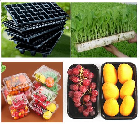 Zindywidualizowane opakowania z plastikowych pęcherzyków PET z uszczelnieniem termicznym dla świeżych produktów
